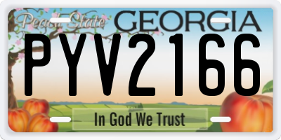 GA license plate PYV2166