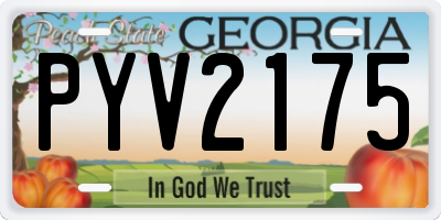 GA license plate PYV2175