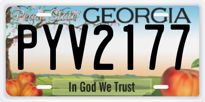 GA license plate PYV2177
