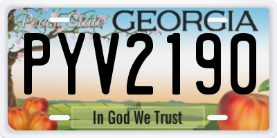 GA license plate PYV2190