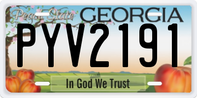 GA license plate PYV2191