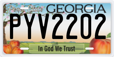 GA license plate PYV2202