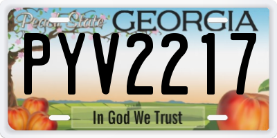 GA license plate PYV2217