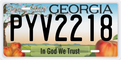 GA license plate PYV2218