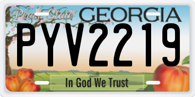 GA license plate PYV2219