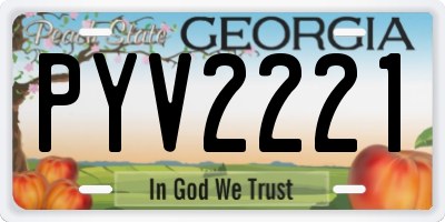 GA license plate PYV2221