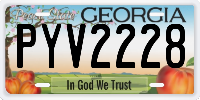 GA license plate PYV2228