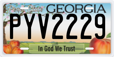 GA license plate PYV2229