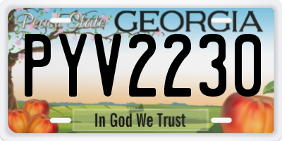 GA license plate PYV2230