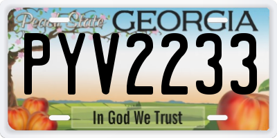 GA license plate PYV2233