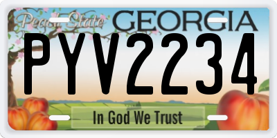 GA license plate PYV2234