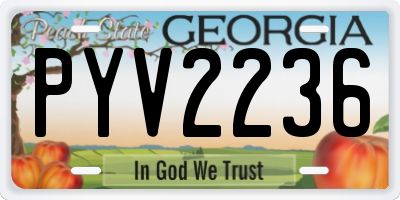 GA license plate PYV2236