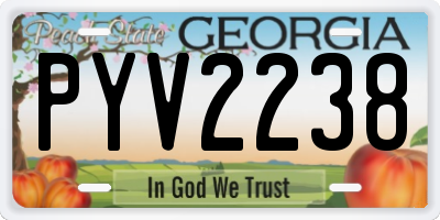 GA license plate PYV2238