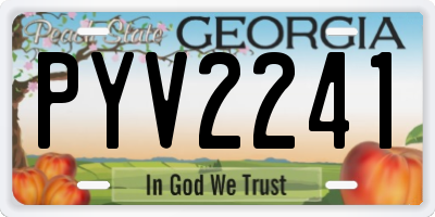 GA license plate PYV2241