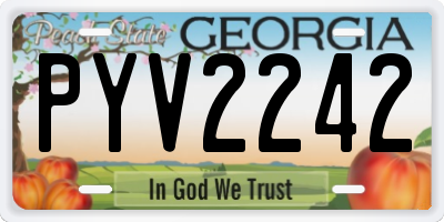 GA license plate PYV2242
