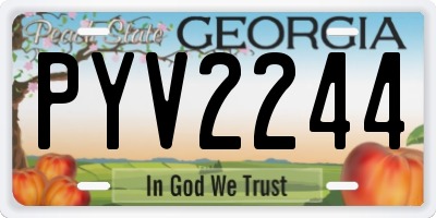 GA license plate PYV2244