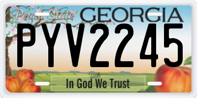 GA license plate PYV2245