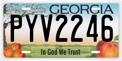 GA license plate PYV2246
