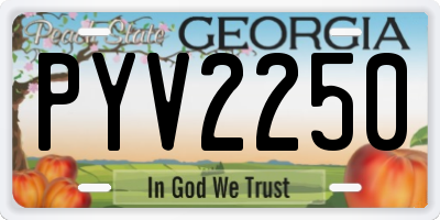 GA license plate PYV2250