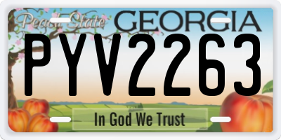 GA license plate PYV2263