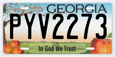 GA license plate PYV2273