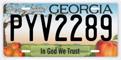 GA license plate PYV2289
