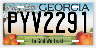 GA license plate PYV2291