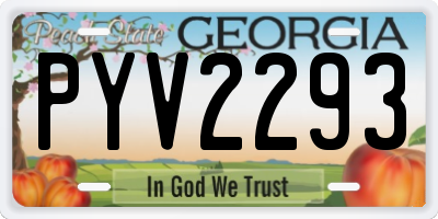 GA license plate PYV2293