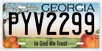 GA license plate PYV2299
