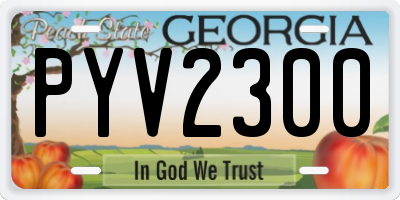 GA license plate PYV2300