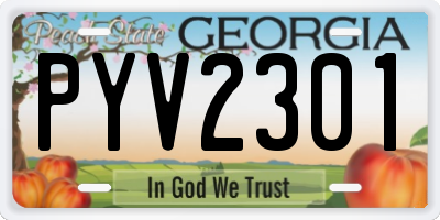 GA license plate PYV2301