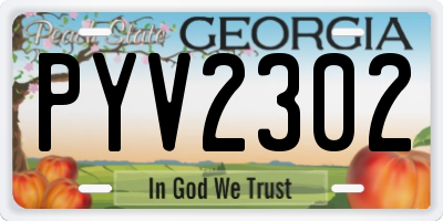 GA license plate PYV2302