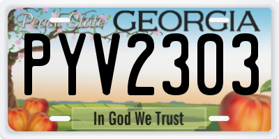GA license plate PYV2303