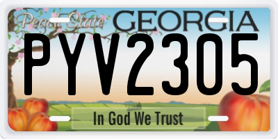 GA license plate PYV2305