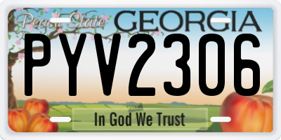 GA license plate PYV2306