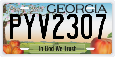 GA license plate PYV2307