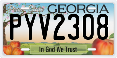 GA license plate PYV2308