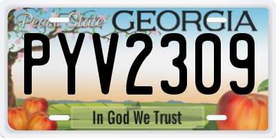 GA license plate PYV2309