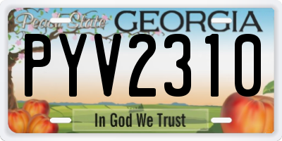 GA license plate PYV2310