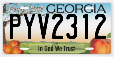 GA license plate PYV2312