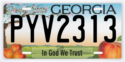 GA license plate PYV2313