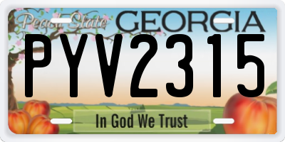 GA license plate PYV2315
