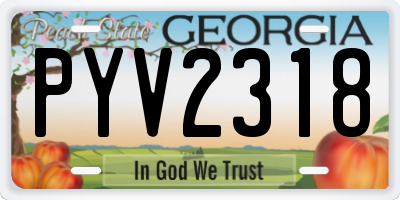 GA license plate PYV2318