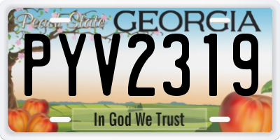 GA license plate PYV2319