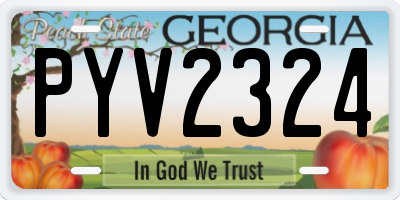 GA license plate PYV2324
