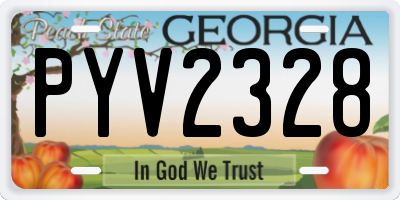 GA license plate PYV2328