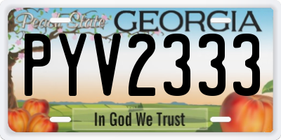 GA license plate PYV2333