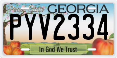 GA license plate PYV2334