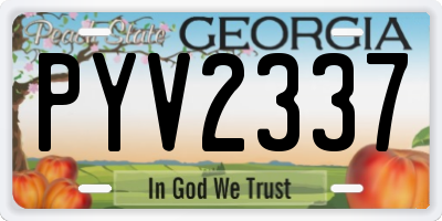 GA license plate PYV2337