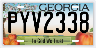 GA license plate PYV2338